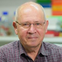 Dan Zilberstein